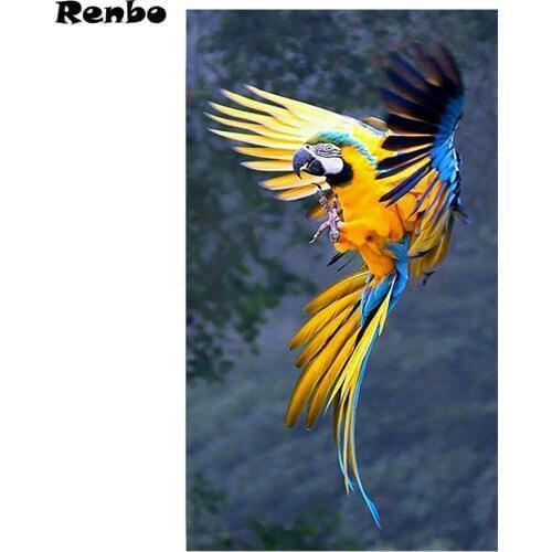 Colorful Birds Diamond Painting Full square Diamond Embroidery sale 5D Diy Diamond Mosaic painting 3d cross Stitch Needlework