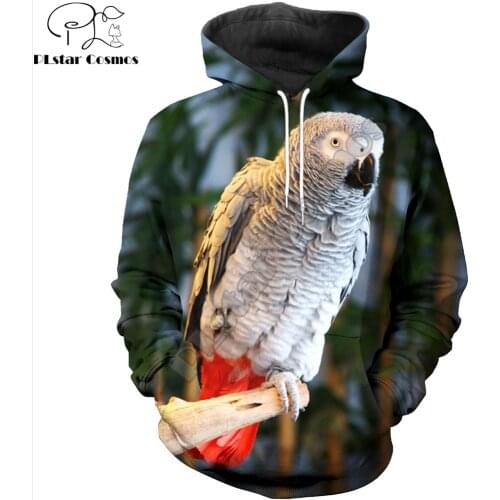 Love Animal Beautiful Parrot 3D Printing Mens Hoodie Fashion Casual Hooded Sweatshirt Street style Autumn Unisex hoodies KJ701