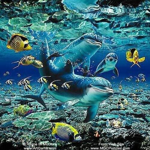 Animal dolphin square round drill Mosaic 5D Diy Embroidery icons fish Diamond Painting Christmas Wall Stickers room decorations