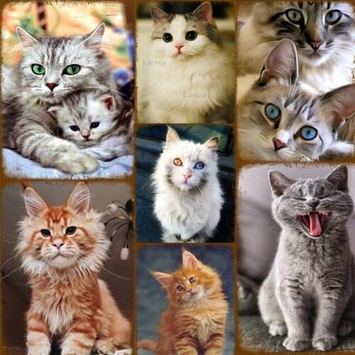 Cat Pet Retro Tin Sign Metal Plate Cat Animal Vintage Plaque Poster Restaurant Pet Shop Home Kids Room Wall Plaque Decor