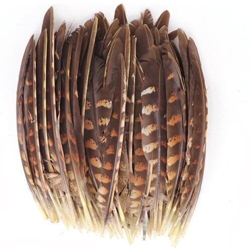 10pcs/lot Beautiful Natural Pheasant Feathers 15-20cm/6-8inch Craft for Christmas Party DIY Decoration Plumas