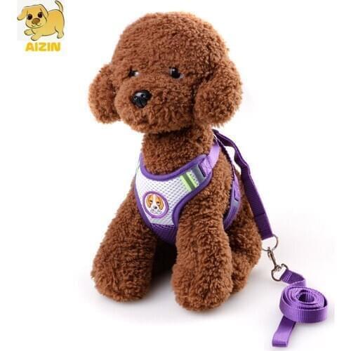 Summer Breathable Dog Harness Leads Sets Cute Style Nylon Leashes Sets For Small Medium Puppy Chihuahua Pets Supplier Dropshping