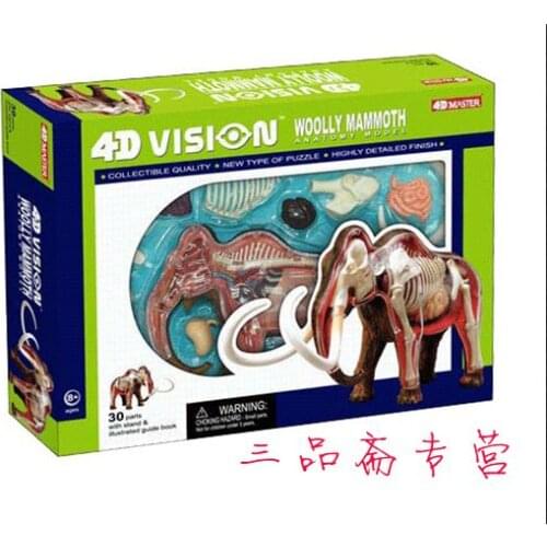 Animal model Mammoth anatomical model eudcational toy