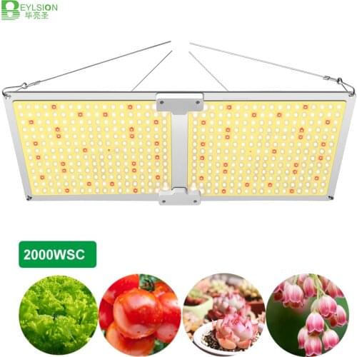 BEYLSION 2000WSC SAMSUNG LM281B LED Plant Lights Growing Lamps Bulbs Quantum Grow Light Indoor For Flower Plant Veg Hydroponics
