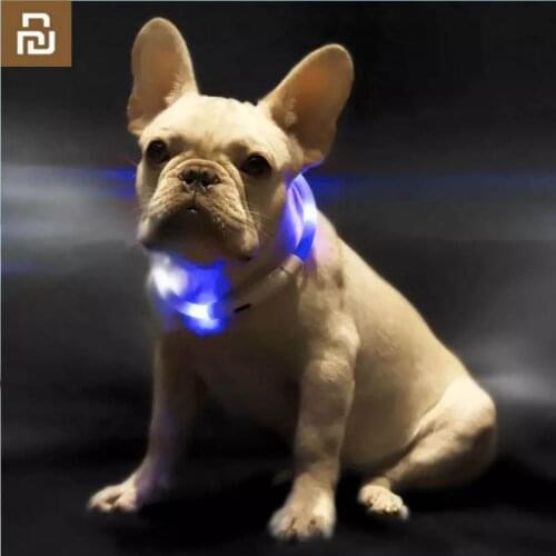 Youpin Pet Light Collar Waterproof xl81-5001 Anti-lost Tag LED Warning Lighting USB Charging Collar for Dog