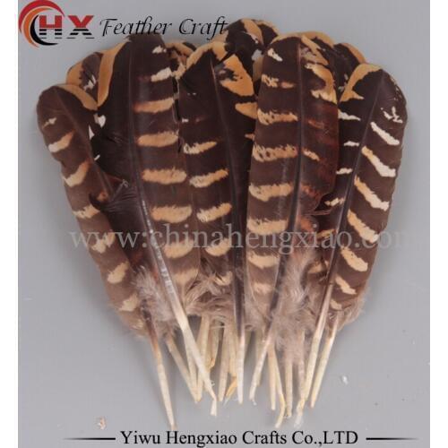 10 pcs/lot Brand New 10-15cm Pheasant Wing Feathers For Wedding Party Millinery Art Craft Home Decoration