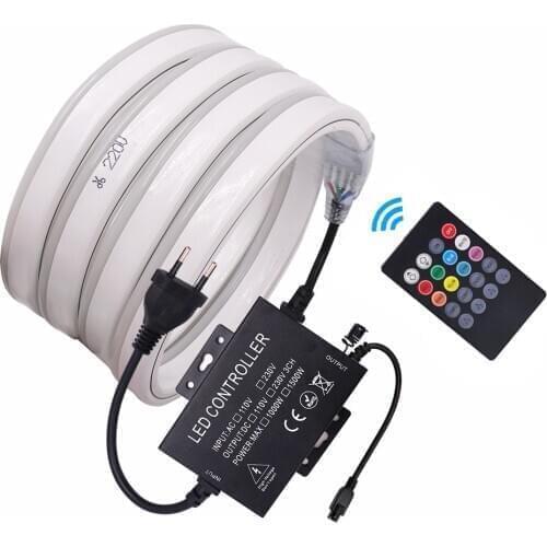 RGB Neon Light Flexible LED Tape Ribbon 5050 2835 WIFI Neon Sign Lamp Waterproof LED Strip Bluetooth Music Control 110V 220V