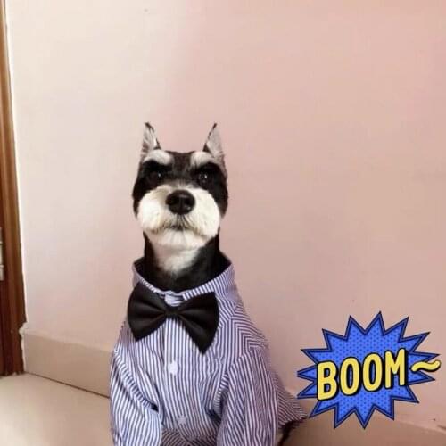 Fashion Pet Dog Spring Shirt Clothes Clothing Costumes For Small Medium Dogs French Bulldog Schnauzer Yorkie Dropshipping GKC49