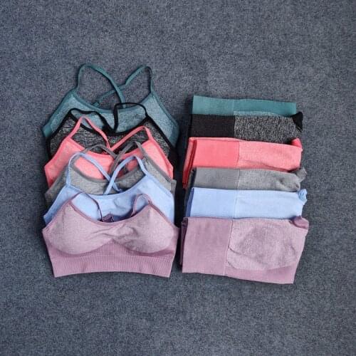 Seamless Yoga Set Fitness Clothing Sportswear High Waist Women Gym Leggings Tights Padded Push-up Sports Bra 2 Pcs Sports Suits