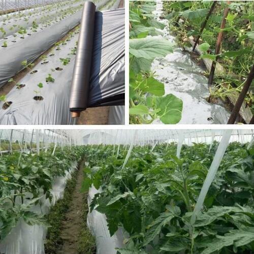 30m 0.02mm PE Plastic Film Silvery Black Reflective Mulch Film Fruit Tree Promoting Plants Photosynthesis Keep Warm Weed Control