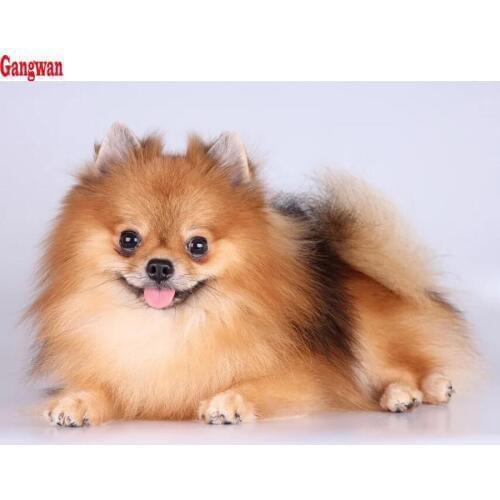 Diamond Painting pet,5D,DIY,3D Pomeranian animal Diamond Embroidery,Cross Stitch,Diamond Mosaic,Needlework,Picture,home Decor