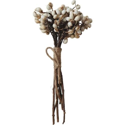 Free Shipping Small Ginkgo 100G Natural Dried Fruit Dried Mushroom Grass Flower for Party Home Decor