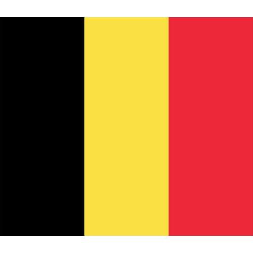 Free Shipping 100pcs/lot large flag great BELGIUM FLAG flag 5*3FT 90*150cm Belgium national polyster Belgium banner