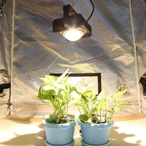 Hydroponics COB LED Grow Light Full Spectrum 100W LED Plant Grow Lamp for Indoor Greenhouse Plants Veg & Flowering Stage