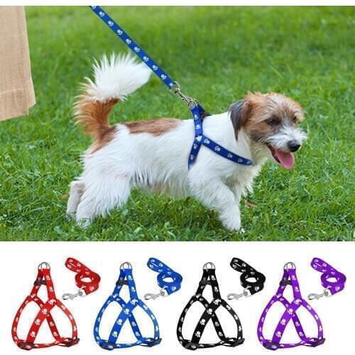 Cute Paw Print Step in Pet Dog Harness & Leash Set for Small Medium Dogs Cat Walking Harness