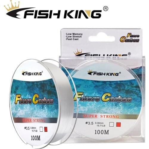 FISH KING 100M Fluorocarbon Coating Fishing Line 4.136LB-34.32LB Carbon Fiber Monofilament Leader Line Carp Fishing Sinking Line