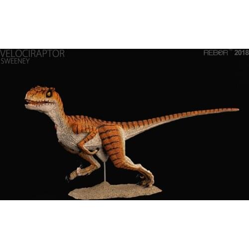 REBOR Velociraptor SWEENEY PVC 1/18 Dinosaur Museum Class Model
