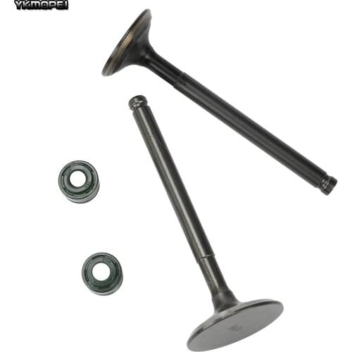 Motorcycle Intake exhaust valves with Oil Seal kit For 60mm Bore YinXiang YX 150 160 150cc 160cc Engine Dirt Pit Bikes ATV Parts