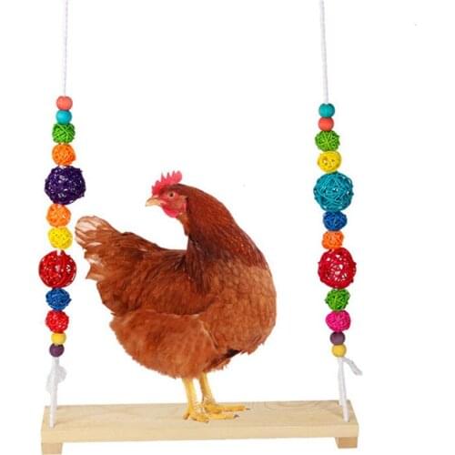 OIMG Products For Birds