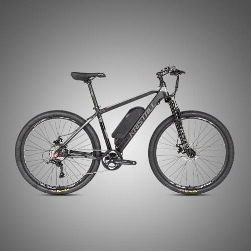 TWITTER Electric Bicycles