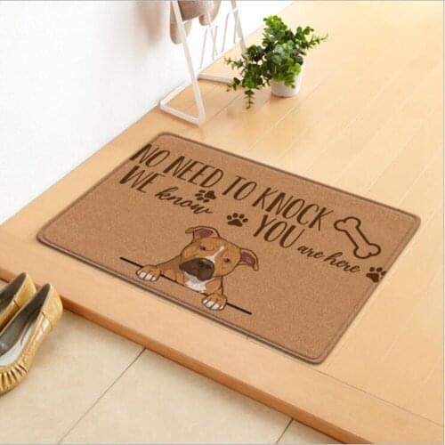 Modern Entrance Doormats Soft Flannel Home Decor Large Carpets for Living Room Bedroom Area Rugs Kitchen Bath Non-Slip Floor Mat