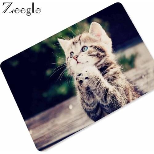 3D Creative Welcome Home Entrance Floor Rug Non-slip Doormat Kitchen Bathroom Rug Outdoor Mat Animal Pattern Rubber Door Mats