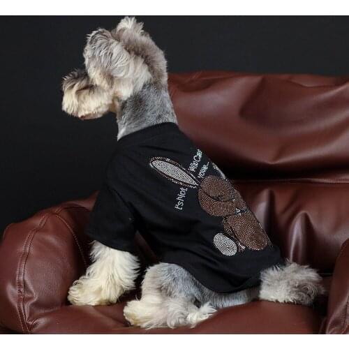 Poodle Fashion Summer Tshirt S-2XL PC1496 Dropshipping