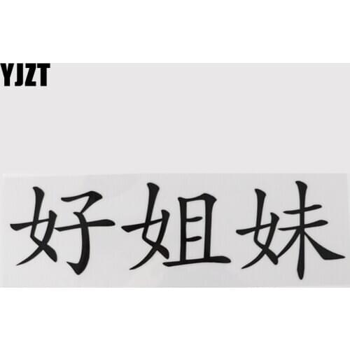 YJZT 18.9CM*5.6CM Hieroglyphics Decal Chinese Characters Good Sister Car Sticker 13D-0349