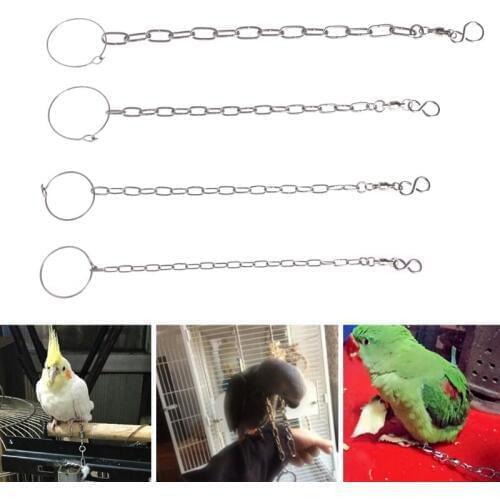 2018 New Arrival Parrot Foot Chain Stainless Steel Ankle Foot Ring Stand Accessories