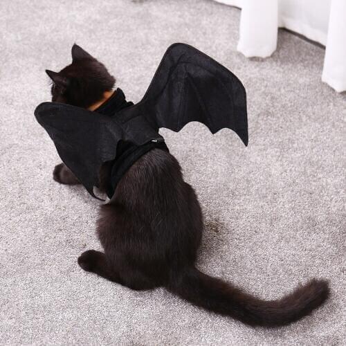 Speedy pet Clothes For Cats