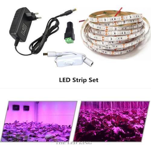 THEBSE LED Plant Lamps