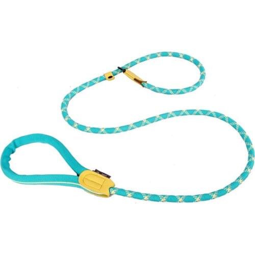 Dog Integrated P Rope Collar Hand Holding Rope Dog Chain Dog Rope Pet Supplies Training Hand Holding Rope Explosion-Proof