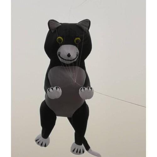 Large cat 3d Outdoor toys soft kite Single line kite rainbow big kite outdoor fun inflatable kite windsock inflatable pendants