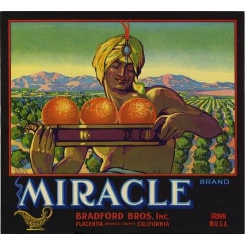 Miracle Bradford Bros Orange Vintage Food Advertising Poster Classic Kraft Posters Canvas Bathroom Wall Sticker Home Decor