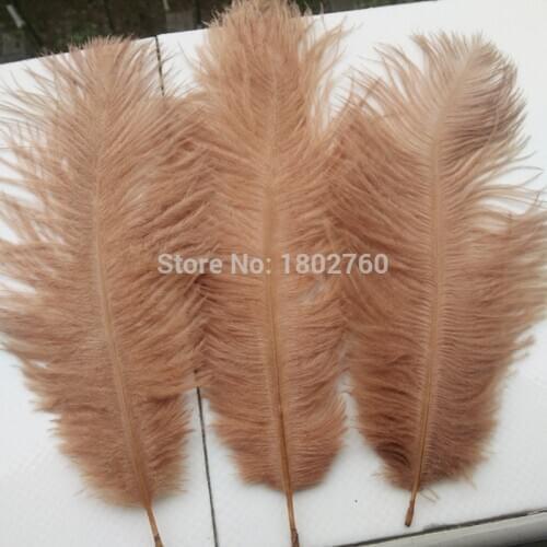 Beautiful Shallow brown ostrich feather 10 pcs feather length 6-8 inches / 15-20 cm DIY wedding costumes and hat decorations