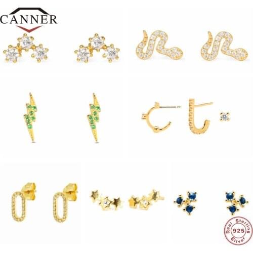 CANNER 100% 925 Sterling Silver Small Stud Earrings For Women Exquisite Piercing Earring Birthday Gifts Jewelry Pendientes Plata