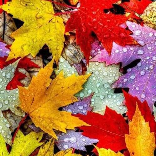 Full Square Diamond Embroidery Cross Stitch Scenery Full Round Diamond Painting Mosaic Colorful Maple Leaf DIY Gift Decoration