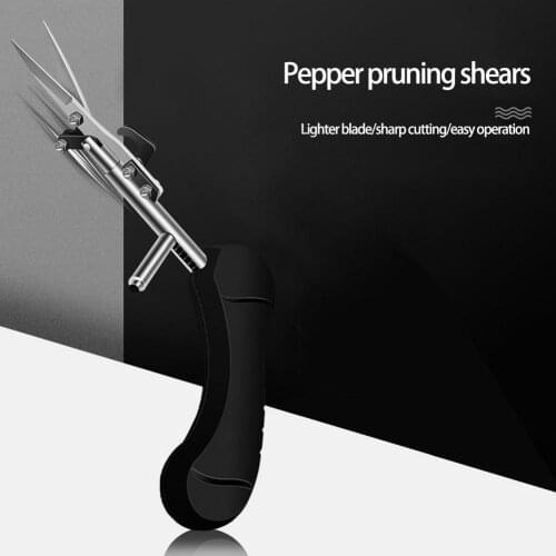 PW TOOLS Scissors