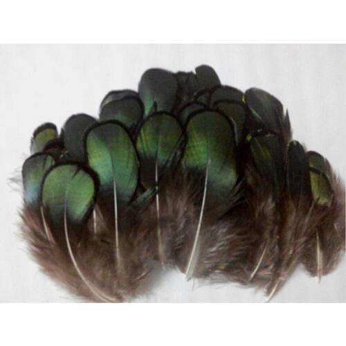 New! Free shipping sell 20 pc natural quality pheasant feathers, 2.4-3.2" /6-8cm long, diy jewelry decorative accessories