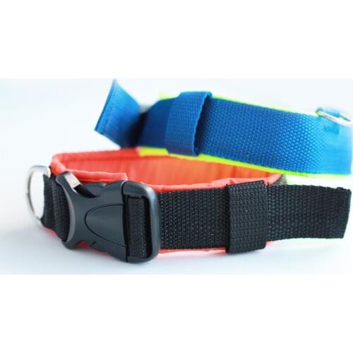 Stark dog equipment Collars