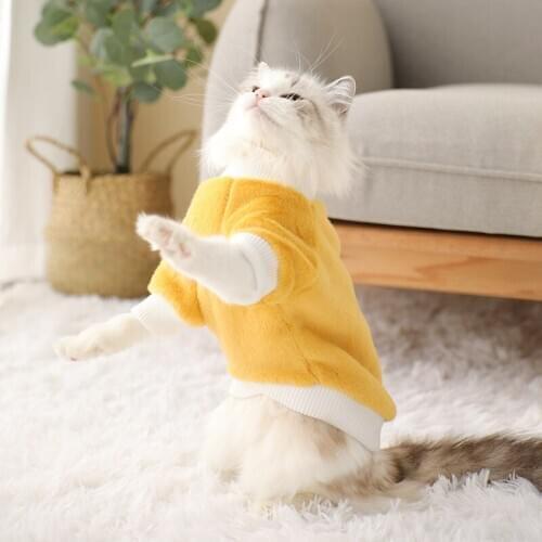 Pet Cat Winter Clothes Small Dog Cotton-padded Coat Teddy Puppy Warm Wool Two-legged Sweater Dog Coat