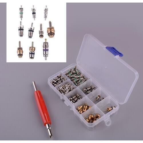 134Pcs Protable AC Valve Core For R134A Air Conditioning Assortment Kit with Remover fit for Buick Series Beverly Jetta Volvo VW