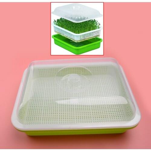 Seed Sprouter Tray With Lid Cover Soil-Free Hydroponic Bean Sprout Grower Plate BPA Free PP
