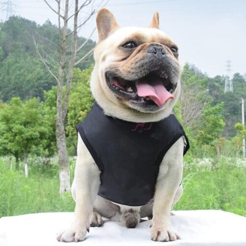 Dog Shirt Summer Small Dog Clothes Chihuahua Tshirt Puppy Vest Yorkshire Terrier Pet Clothes Ropa Perro Pets Clothing B1067