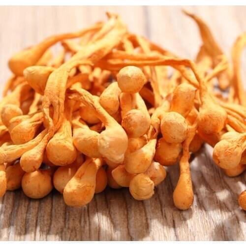 Chinese Wild Herbal Cordyceps Flower Sinensis Flower High Quality Pure Cao Hua For Improve Immunity