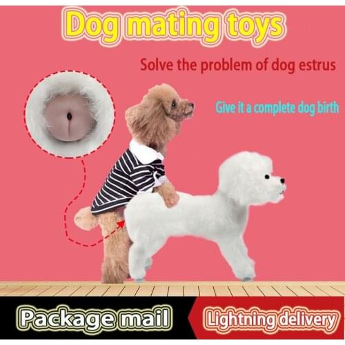 Pop It Antistress Dog Vented Sex Toys Vent Fire Oestrus Partner Mating Sexual Venting Fidget Toys Plush Real Dog Accessories