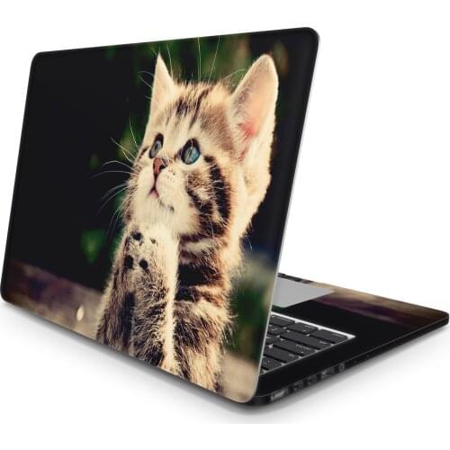 Sticker Master Cat 1 Laptop Vinyl Sticker Skin Cover For 10 12 13 14 15.4 15.6 16 17 19 " Inc Notebook decal for Macbook,Asus,Acer,Hp,Lenovo,Huawei,Dell,Msi,Apple,Toshiba,Compaq