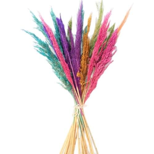 20 Stems Mix Multi Color Large Plumes Dried Pampas Arrangement Dry Flowers Painted Dry Reed Feather Grass Tall Vase Filler