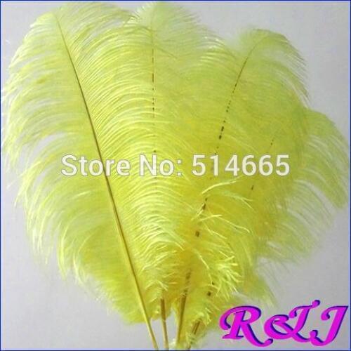EMS Free shipping Cheap ostrich feather 100pcs 20-22 inches 50-55cm Yellow Ostrich plumage ostrich plume