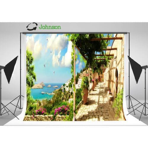 Blue Sky White Clouds Sea Flower Leaves Coastal Patio Road background polyester Vinyl cloth Computer print wedding backdrop